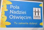 Pola Nadziei zakwitną w Grojcu